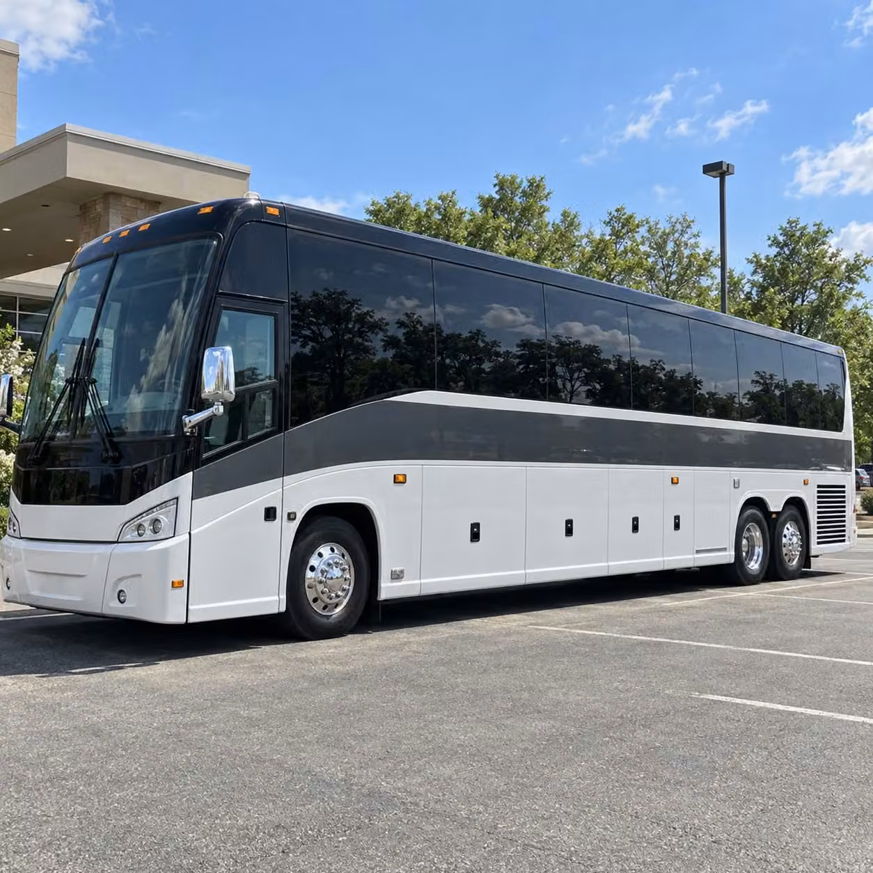 fairfield youth organizations and after school groups can book field trip buses too